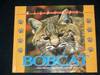 Bobcat (Wildcats of North America)