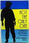 Not the Only One: Lesbian and Gay Fiction for Teens