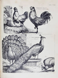 Encyclopaedia Britannica; or, A Dictionary of Arts and Sciences, Compiled Upon A New Plan