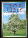 Trees in Jersey : A Guide to the Island's Familiar Trees and Shrubs