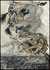 INGOLDSBY LEGENDS by THOMAS INGOLDSBY from Aleph-Bet Books, Inc. - Used Book - Hardcover - Signed