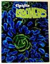 Chenille Bloomers