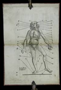 Wundartzney zu allen Gebrechen des gantzen Leibs