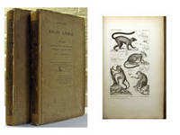 ICONOGRAPHIE DU REGNE ANIMAL DE CUVIER. Mammiferes, oiseaux, reptiles et poissons, pour servir d'atlas a tous les traites de zoologie par M. F. E. Guerin-Meneville