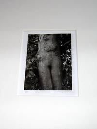 Garden A Portfolio of Six Platinum-Palladium Prints by Mary Swisher. Introduction by William T. Vollmann