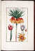 Histoire g&eacute;n&eacute;rale des insectes de Surinam et de toute l'Europe... Troisi&egrave;me &eacute;dition revue, corrig&eacute;e et consid&eacute;rablement augment&eacute;e par M. Buch'oz... &agrave; laquelle on a joint une troisi&egrave;me partie qui traite des plus belles fleurs by  Daniel (?1578-1637) RABEL from Donald Heald Rare Books - Used Book - Hardcover