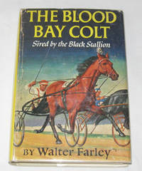 Blood Bay Colt Sired by the Black Stallion