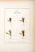 Modern Development of the Dry Fly: The New Dry Fly Patterns, the Manipulation of Dressing them, and Practical Experiences of their Use by  Frederic M HALFORD from Donald Heald Rare Books - Used Book - Signed First Edition