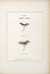 Modern Development of the Dry Fly: The New Dry Fly Patterns, the Manipulation of Dressing them, and Practical Experiences of their Use by  Frederic M HALFORD from Donald Heald Rare Books - Used Book - Signed First Edition