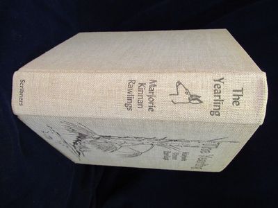 Image for The Yearling