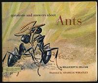 Questions and Answers About Ants