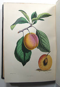 THE GARDENERS' MAGAZINE OF BOTANY, HORTICULTURE, FLORICULTURE, AND NATURAL SCIENCE