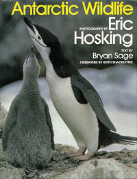 Antarctic Wildlife