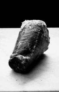 [La Conversation] Tete de Cochon Moulee / Braun (Signed Limited Edition Print)