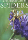 The Private Life of Spiders