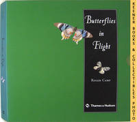 Butterflies In Flight Butterflies In Flight