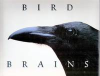 BIRD BRAINS. THE INTELLIGENCE OF CROWS, RAVENS, MAGPIES, AND JAYS