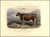 Kerry Breed [Pl. 6] by  David (1786-1859) LOW from Donald Heald Rare Books - Used Book