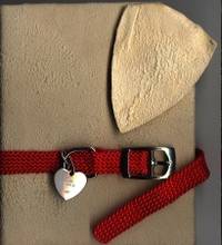 Dog Eared