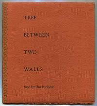 Tree Between Two Walls