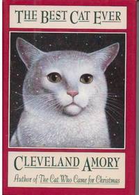 The Best Cat Ever