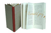 Bartleby the Scrivener, A Story of Wall-Street. Calligraphy by Suzanne Moore