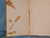 THE ADVENTURES OF MAYA THE BEE by Waldemar Bonsels from SandyACo - Used Book - Hardcover