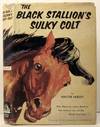 The Black Stallion
