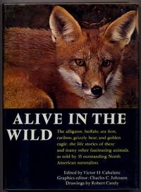 Alive In The Wild