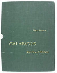 Galapagos: The Flow of Wildness