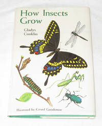 How Insects Grow How Insects Grow