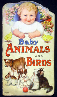 Baby Animals and Birds