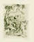 NAUCHTLIED by  Niels:  Joseph]: Hoyer from William Reese Company - Literature ABAA-ILAB - Used Book - Hardcover - Signed First Edition