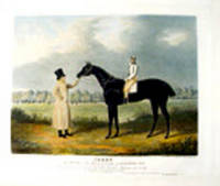 Jerry, the Winner of the Great St. Leger, at Doncaster, 1824