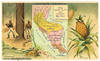 Central America. Arbuckle Bros. Coffee Co. trade card: map and vignette illustrations