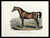 The Race Horse. Stallion, Vestris, 11 Years old, the Property of Mr. Hutchins of Cregane Castle, by Whalebone, out of Verennes, dam of Albert by  R.S.A  David (1786-1859) - After William SHIELS from Donald Heald Rare Books - Used Book