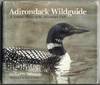 Adirondack Wildguide: A Natural History of the Adirondack Park