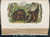 The Quadrupeds of North America by  John James (1785-1851) and Rev. John BACHMAN (1790-1874) AUDUBON from Donald Heald Rare Books - Used Book - Hardcover