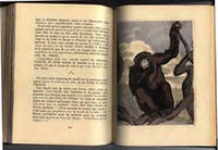 La Comedie des animaux qu'on dit sauvages. Illustrated by Paul Jouve