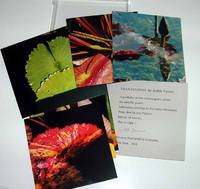 Transitions. Chromogenic Prints by Judith Turner