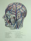 PLASTIC AND COSMETIC SURGERY. With one color plate and 522 text illustrations