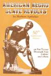 American Negro Slave Revolts