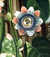 The Quadrangular Passion Flower by  Robert John (circa 1768-1837). - Peter HENDERSON THORNTON from Donald Heald Rare Books - Used Book - First Edition