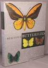 Beautiful Butterflies