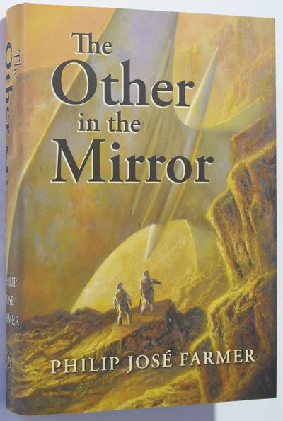 Image for The Other in the Mirror