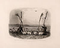 Offering of the Mandan Indians [Vig. 14]
