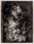 [A Flower Piece with vase, birds' nest and eggs; & A Flower Piece with vase, peaches and grapes] by  After Jan (1682-1749) VAN HUYSUM from Donald Heald Rare Books - Used Book - Signed