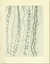 MIS&Eacute;RABLE MIRACLE (LA MESCALINE) by  Henri: Michaux from William Reese Company - Literature ABAA-ILAB - Used Book - Paperback - First Edition