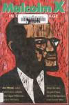 Malcolm X In Our Own Image