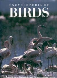 Encyclopedia of Birds Encyclopedia of Birds